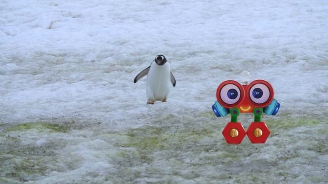 Toddlers Learn Animals with Robi | Educational Early Learning Videos with Zebra, Penguin & Fish смотреть онлайн