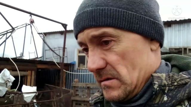 ВЫНУЖДЕННЫЙ забой/ и каков вес? смотреть онлайн