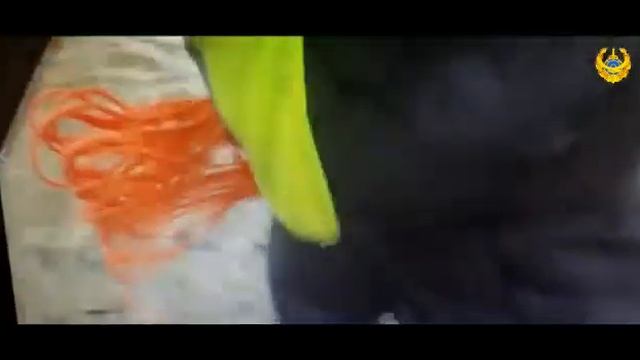 В Атырау пьяный водитель пытался скрыться, прыгнув в реку смотреть онлайн