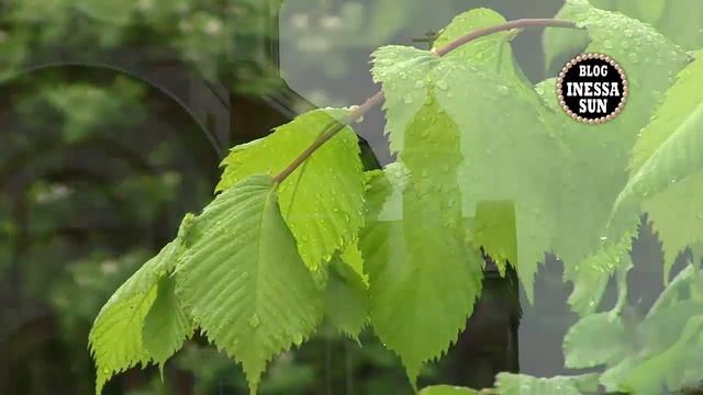 Оренбург. Национальная деревня. смотреть онлайн