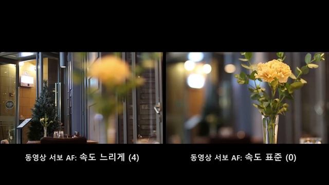 [Canon EOS 7D Mark II] 라이브 뷰 동영상 촬영 смотреть онлайн
