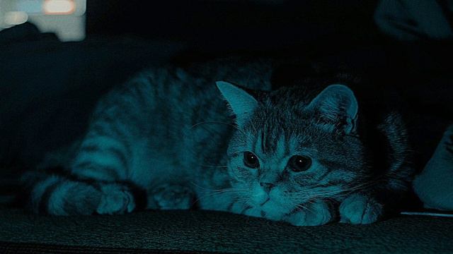 Комсомольск - Всё, что я умею // (Speed up+Reverb) смотреть онлайн