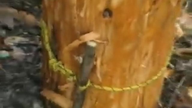 Волья или индейский факел - 1 смотреть онлайн