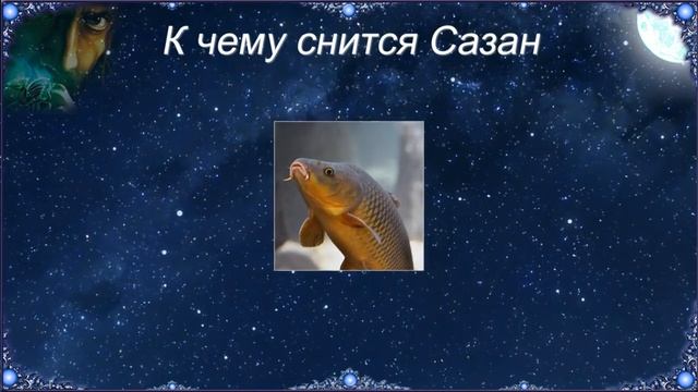 К чему снится Сазан (Сонник) смотреть онлайн
