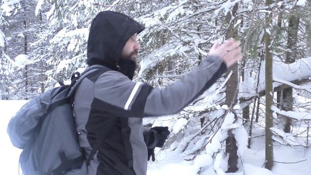 Стройка Челлендж