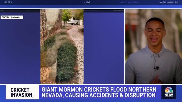 Hallie Jackson NOW - June 22 | NBC News NOW смотреть онлайн