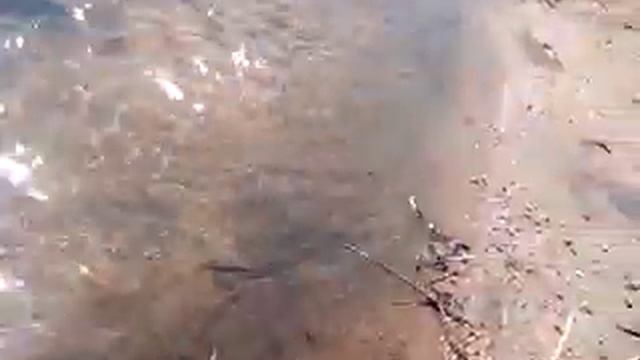 река Анжа и мы смотреть онлайн