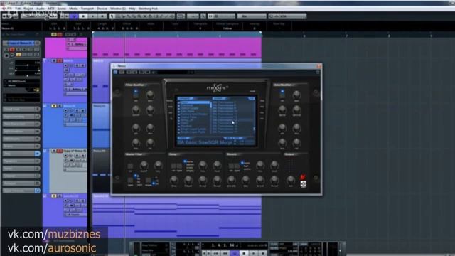 [MUZBIZNES] Aurosonic (Tips & Tricks)
