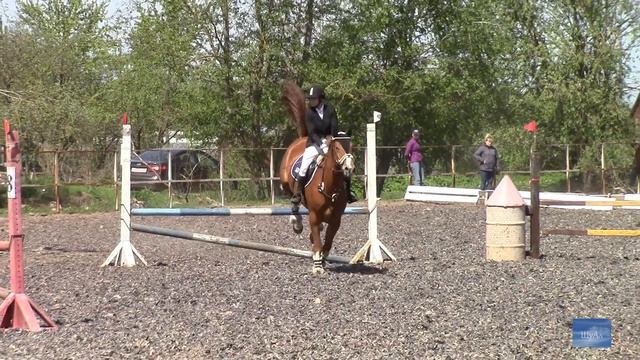 Первенство города Пскова по конному спорту (конкур). смотреть онлайн