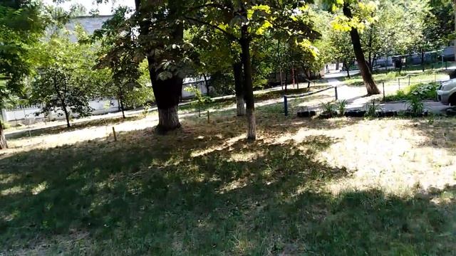 Кременчуг. Двор моего детства??❤️. Вишневая аллея ??? смотреть онлайн