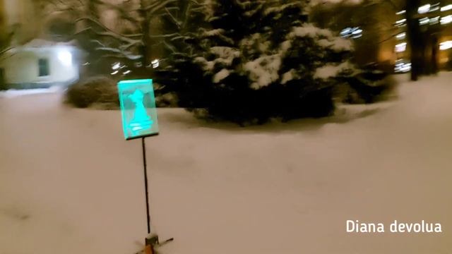 Питер Световое шоу 2022/Ботанический сад Сад света смотреть онлайн