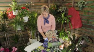 3 способа посадки баклажан на рассаду ?  Рассада баклажан в домашних условиях ? Выращивание баклажа