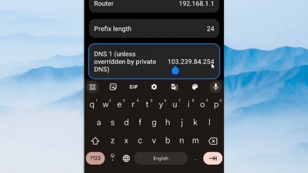 How to Change DNS Server in Android for Mobile Data & WiFi (3 Methods) - 2024