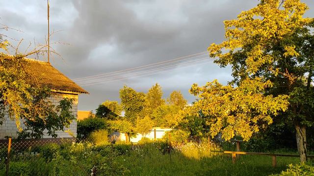 В этот тихий летний вечер. summer evening in a Belarusian village смотреть онлайн