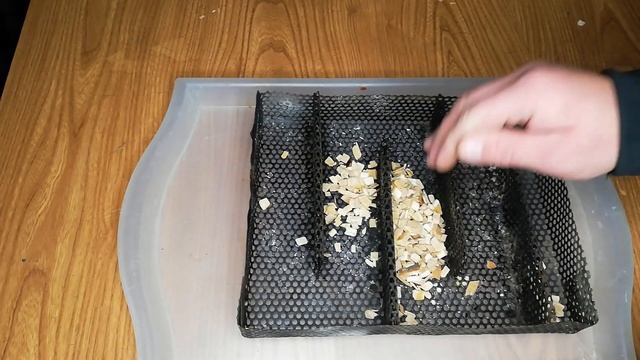 Рыба Боевая