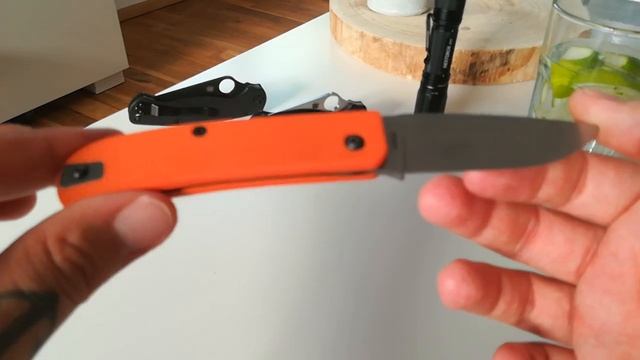Manly Wasp S90v - Mein Fazit смотреть онлайн
