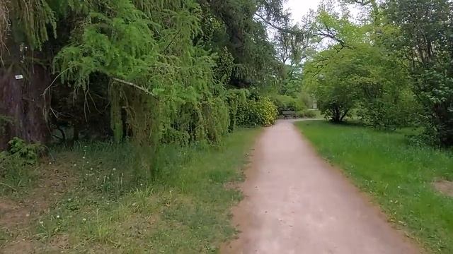 май в Риге - о цветах и о духах смотреть онлайн