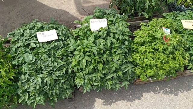 Тайны и секреты рек