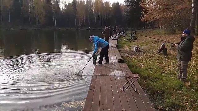 Вот и заработала паста. Но не забываем и про активные снасти. Клёвое место, Лосиный остров. смотреть онлайн