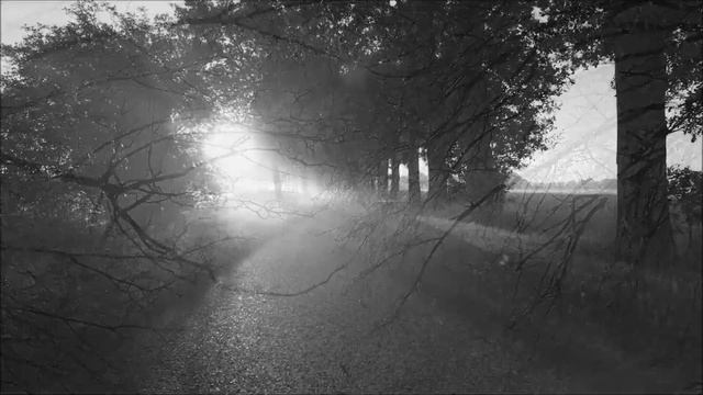 Christmas 1914 - Richard Digance смотреть онлайн