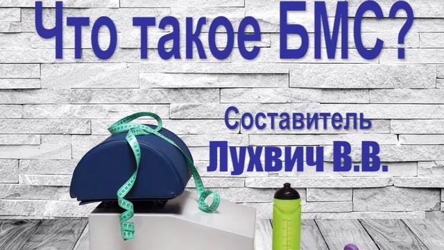 1. Что такое БМС смотреть онлайн