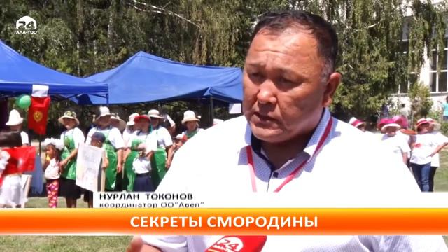 Развитие регионов: Ежегодный фестиваль ягод и фруктов Иссык-Кульской области " Карагат фест 2018" смотреть онлайн