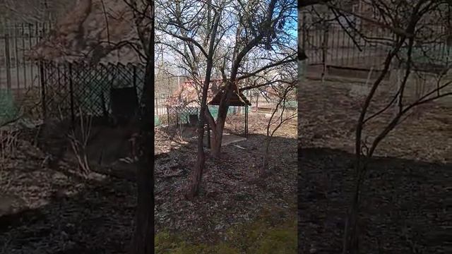 Олимпиец Дача смотреть онлайн