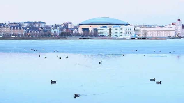 "окно в Казан", кабан смотреть онлайн