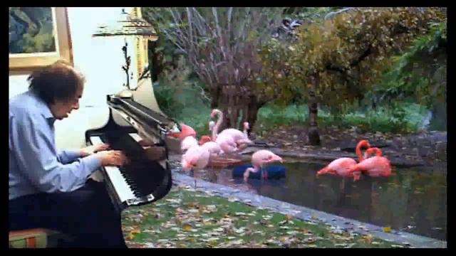 BIRD AND PIANO смотреть онлайн