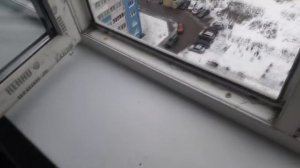 Ремонт и регулировка ОКОН в новосторойке REHAU. Что нужно устранить в первую очередь.