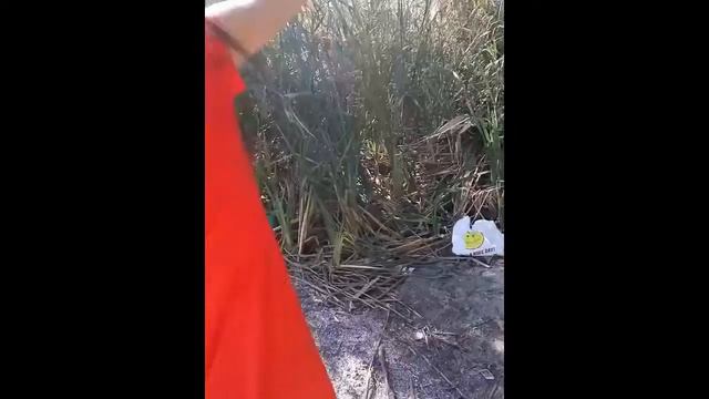 Хорошо проведенное время на рыбалке на травянском водохранилище, летняя ловля леща смотреть онлайн