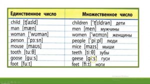 Множественное число (2 часть). Слова-исключения