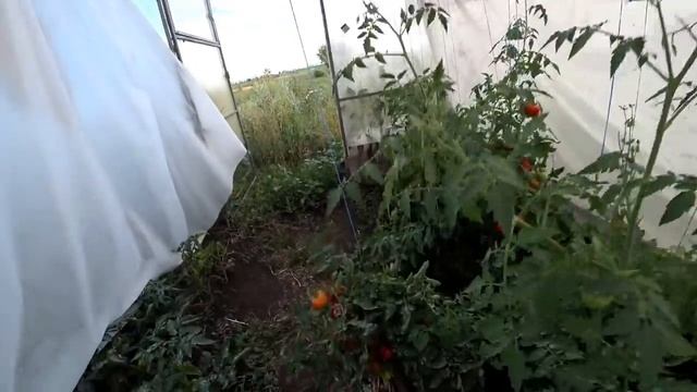 ВЕРНУЛИСЬ В СТАРЫЙ ДЕРЕВЯННЫЙ ДОМ/В НЕМ МЫ РАНЬШЕ ЖИЛИ/БУДЕМ РЕСТАВРИРОВАТЬ смотреть онлайн