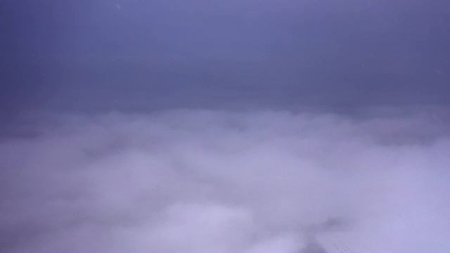 Зимний лес. Winter 2021 In Belarus. Relax Video.