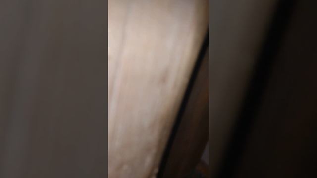 у нас выключили свет лёхе позвонил неизвестный номер 😰 смотреть онлайн