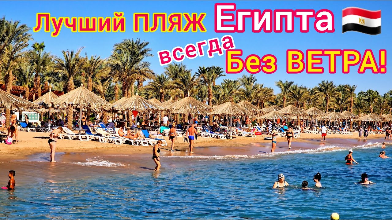 ЛУЧШИЙ пляж в Египте. Мы в ШОКЕ! Пляж отеля Sharm Dreams Resort 5*, бухта Наама Бей, Шарм эль Шейх смотреть онлайн