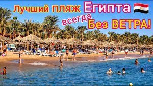 ЛУЧШИЙ пляж в Египте. Мы в ШОКЕ! Пляж отеля Sharm Dreams Resort 5*, бухта Наама Бей, Шарм эль Шейх