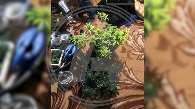 Оперативная сводка по Костанайской области