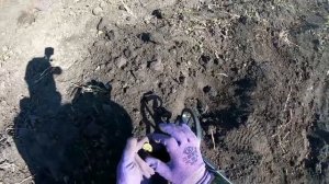 Мне сказали, что тут давно была ярмарка! Коп с металлоискателем Нокта Макро Симплекс плюс!