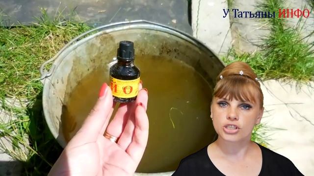 ТЕПЕРЬ РЕАЛЬНО! Капуста: как вырастить крупный, вкусный кочан? смотреть онлайн