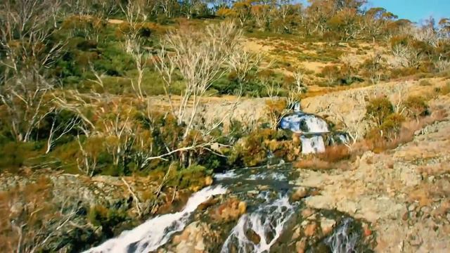 Indoor Garden Party - Out of Range смотреть онлайн