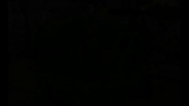 George Of The Jungle And The Search For The Secret Walkthrough Part 8:2 (Wii)