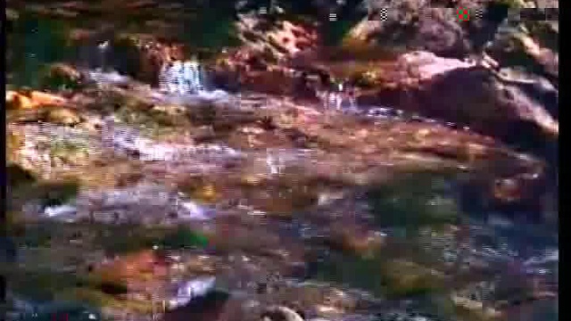 Как лань желает к потокам воды