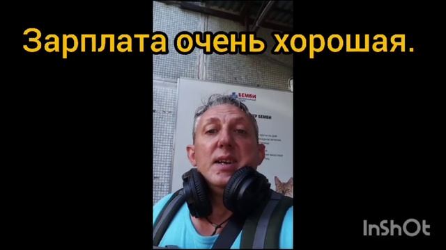 Ветеринарные вакансии. Спрос и предложение. Требуется ветврач терапевт и хирург. Август 2023 смотреть онлайн