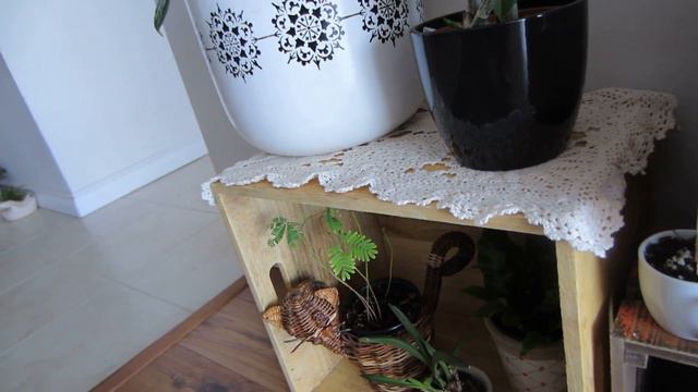 Plant Tour #2 смотреть онлайн