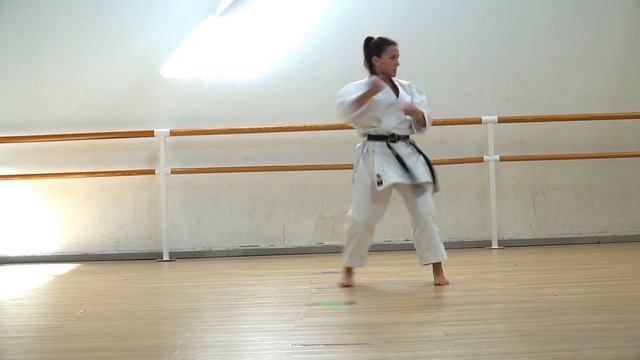 Pinan Sandan (Shito Ryu) katashitoryu.org смотреть онлайн