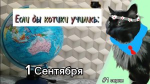 Если бы котики учились: 1 Серия 1 Сентября