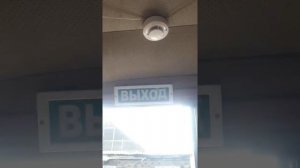 Тест пожарной сигнализации НА ОБЪЕКТЕ