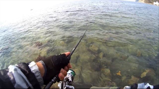 Рыба в Руках