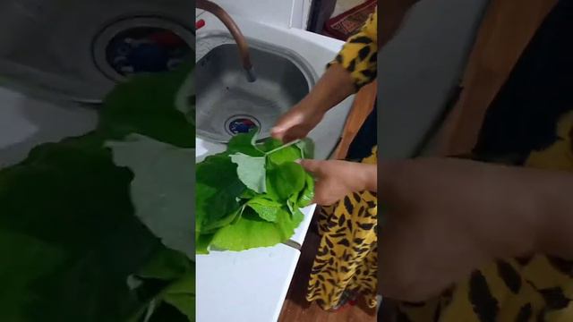 Кәріғыз, немесе шонайна, немесе түйежапырақ көптеген ауыруға ем екен. смотреть онлайн